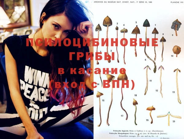 тгк Абинск
