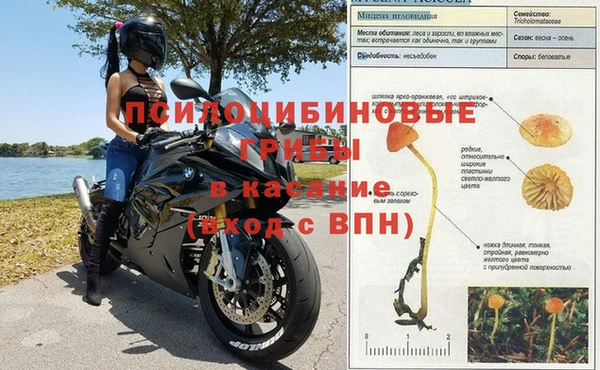 мескалин Абаза