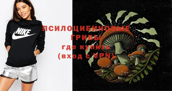 тгк Абинск