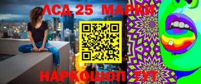 крисы Абакан