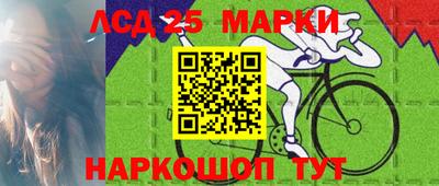 крисы Абакан