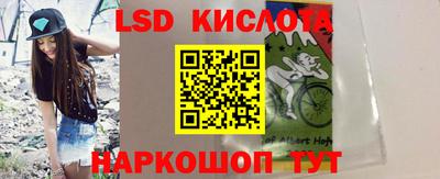 крисы Абакан