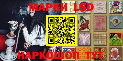 крисы Абакан