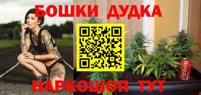 крисы Абакан