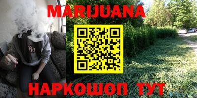 крисы Абакан