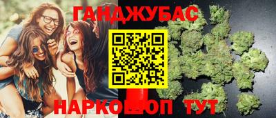 крисы Абакан