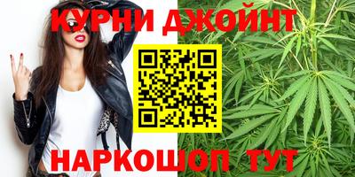 крисы Абакан