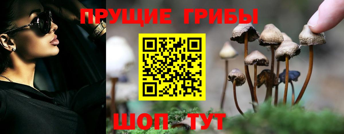 Галлюциногенные грибы Cubensis Азнакаево