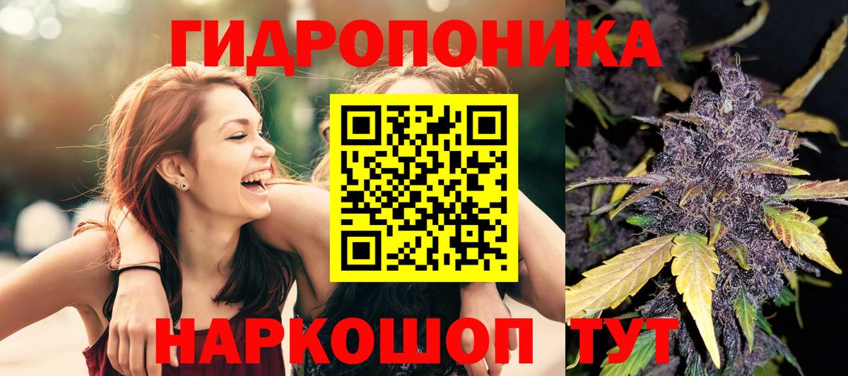 Азнакаево  Конопля план  Вход с VPN  Конопля ГИДРОПОН 